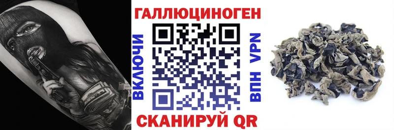 Псилоцибиновые грибы MAGIC MUSHROOMS купить наркотики сайты Лахденпохья
