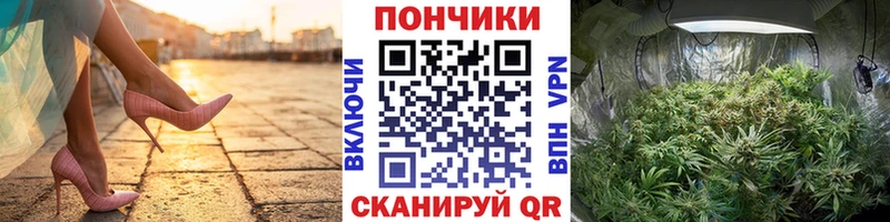 Бошки Шишки SATIVA & INDICA  Лахденпохья 